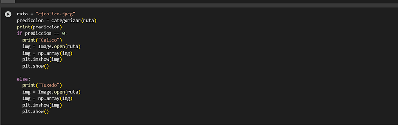 Proyecto de IA diferenciador calicó vs tuxedo 2