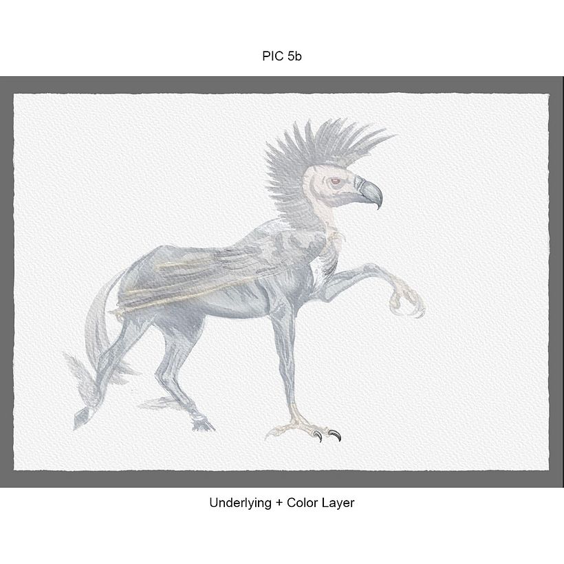 Criação/Ilustrações Originais - “Ilustração Científica de Animais em Aquarela” - Digital Redux 2