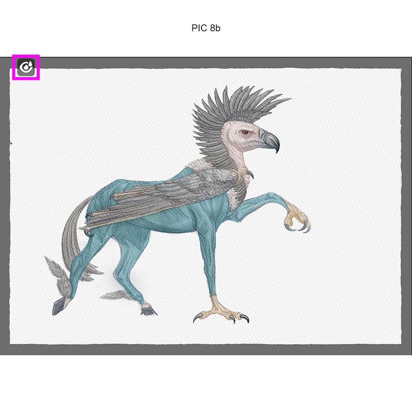 Criação/Ilustrações Originais - “Ilustração Científica de Animais em Aquarela” - Digital Redux 7