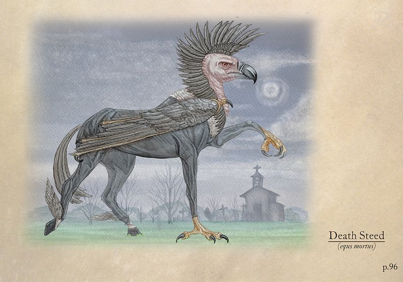 Criação/Ilustrações Originais - “Ilustração Científica de Animais em Aquarela” - Digital Redux 1