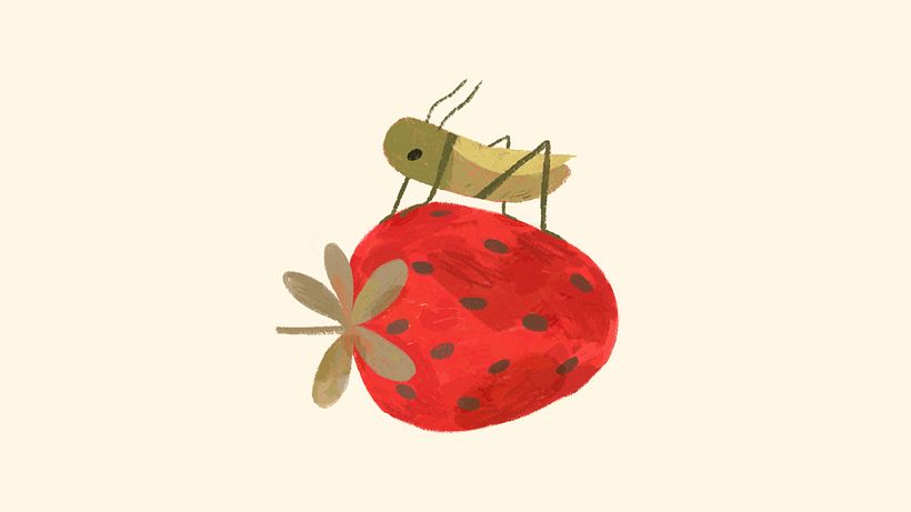 Descarga gratuita: Guía para dibujar animales desde la observación