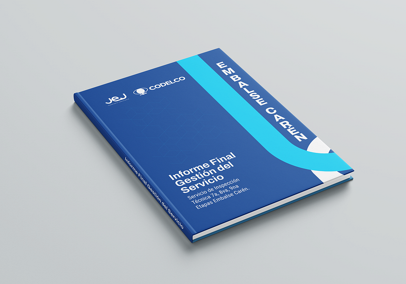 Diseño y Diagramación Informe Final Gestión del Servicio 2024 1