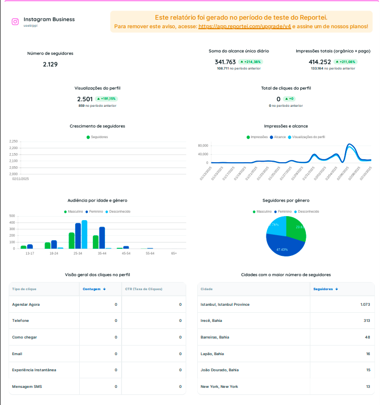 Implementação de Tráfego Pago Utilizando Meta Ads 5