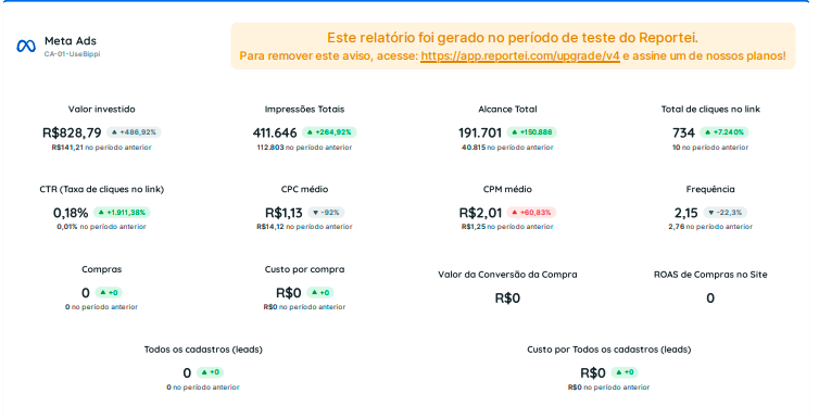 Implementação de Tráfego Pago Utilizando Meta Ads 6
