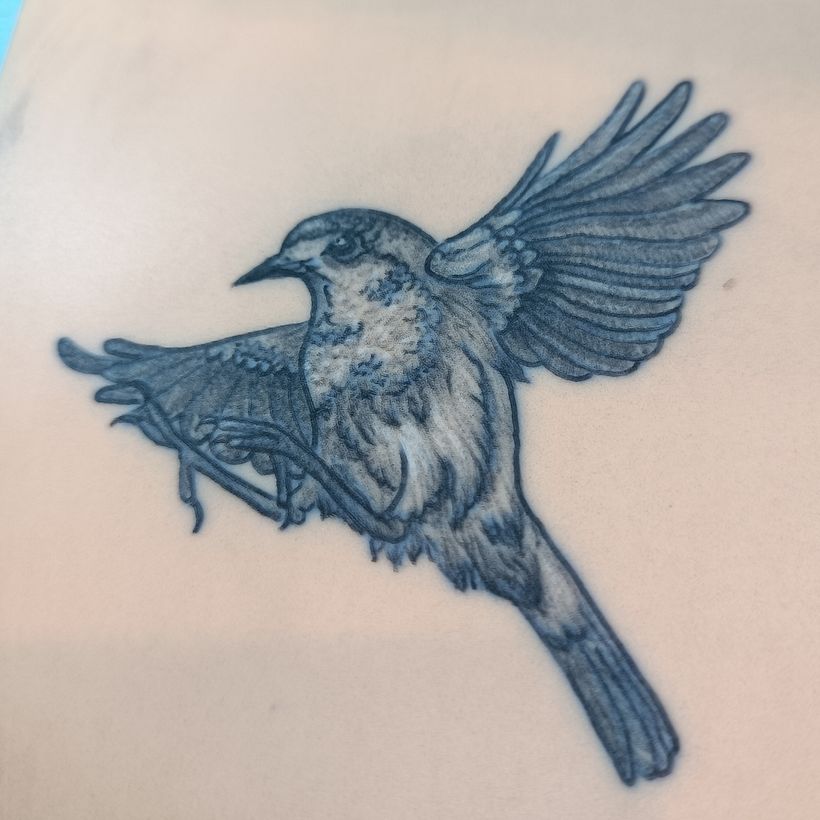 Rotkehlchen Blackwork 3