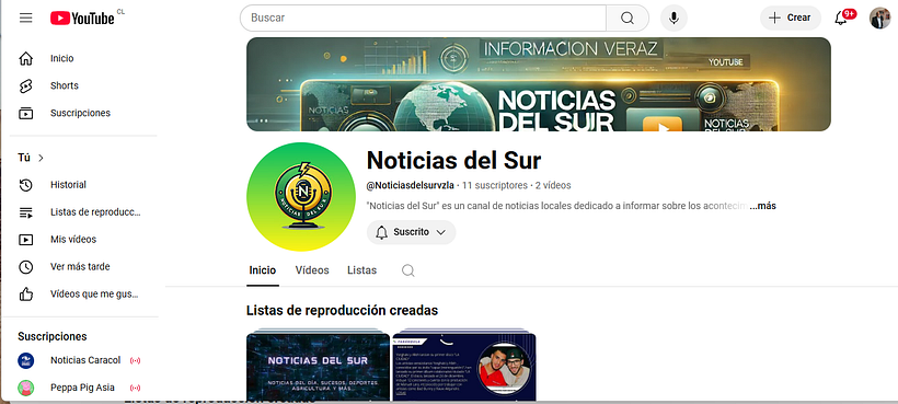 Noticias del Sur 1