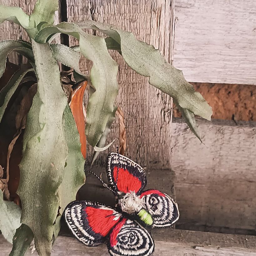 Mariposa / Érase una vez un florero 1