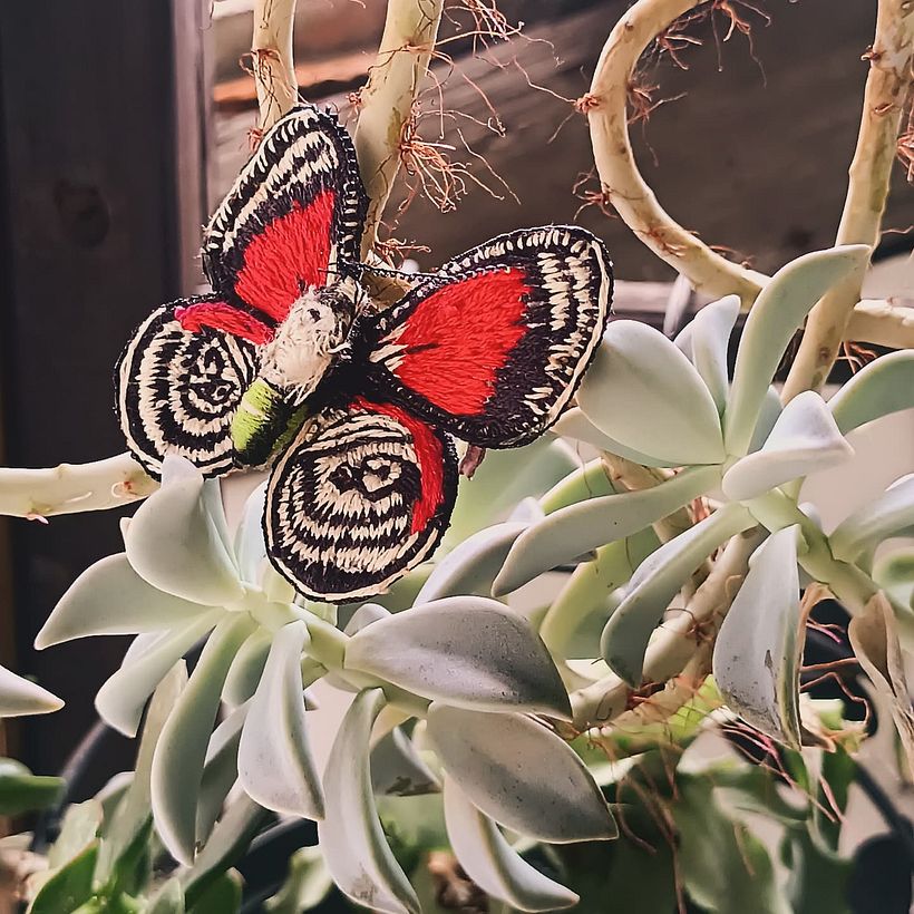 Mariposa / Érase una vez un florero 2