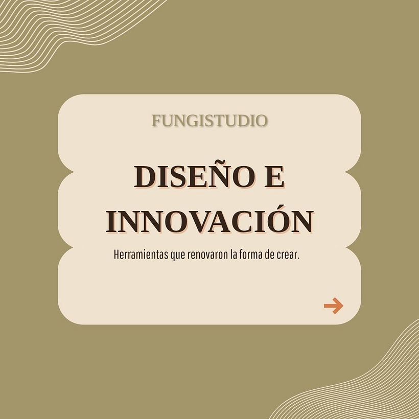 Fungistudio 4