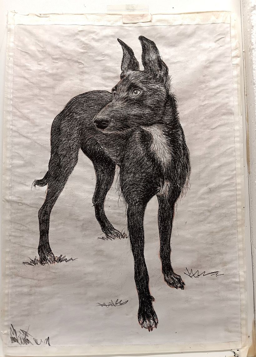 Lithographic Transfer Drawing 1