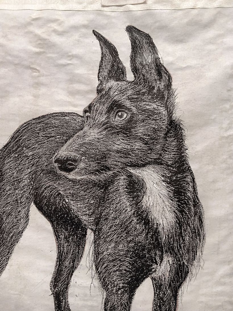 Lithographic Transfer Drawing 1