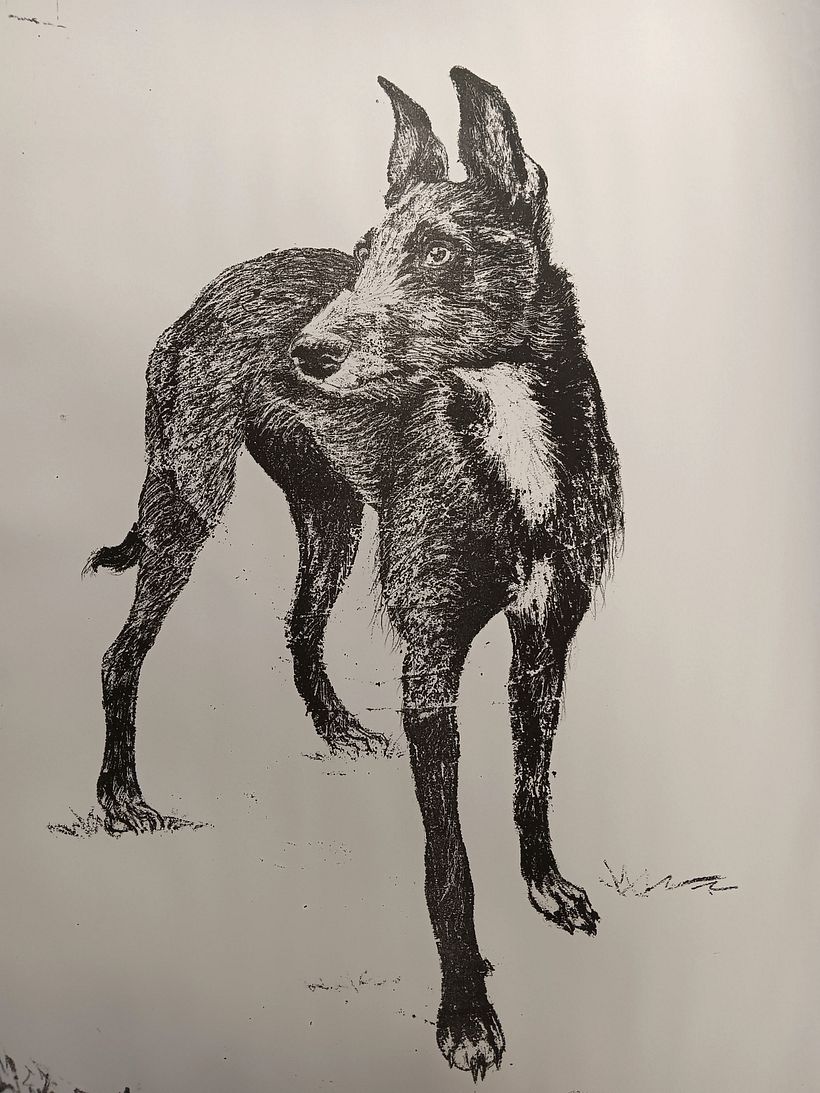 Lithographic Transfer Drawing 1