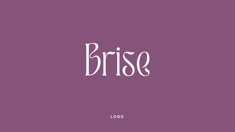 Proyecto Brise 2