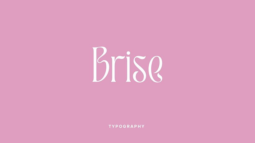 Proyecto Brise 9
