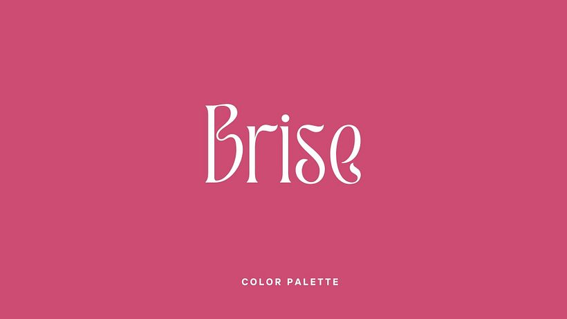 Proyecto Brise 13