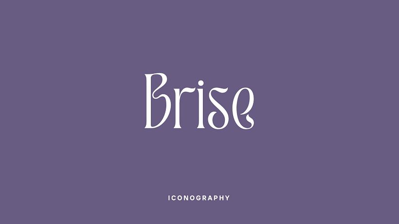 Proyecto Brise 16