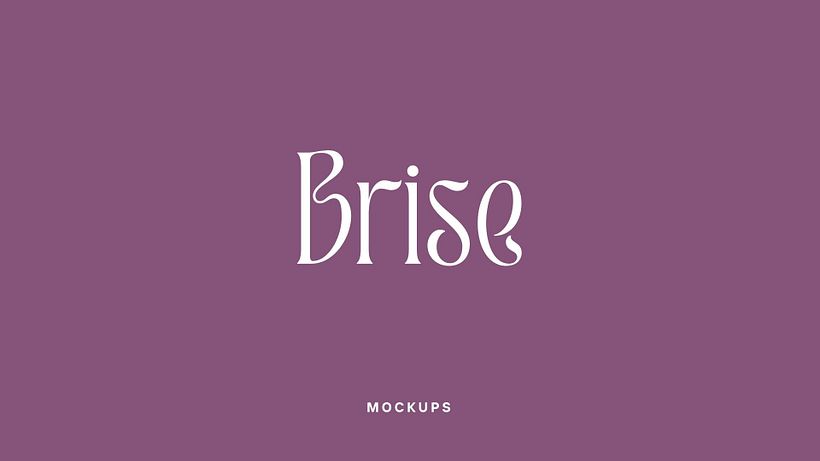 Proyecto Brise 21