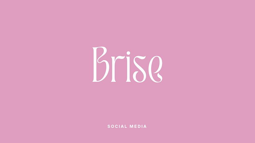 Proyecto Brise 36