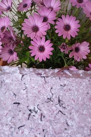 handmade recycled paper 1