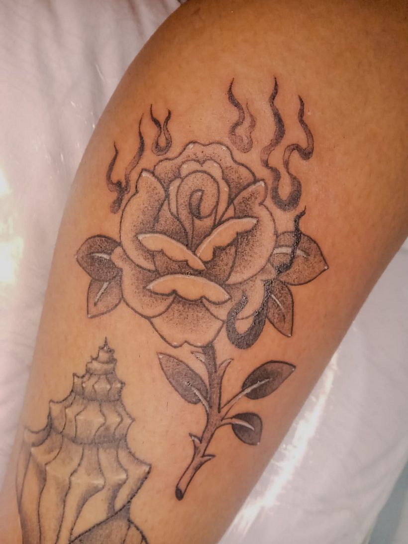 Rosa com fogo 1