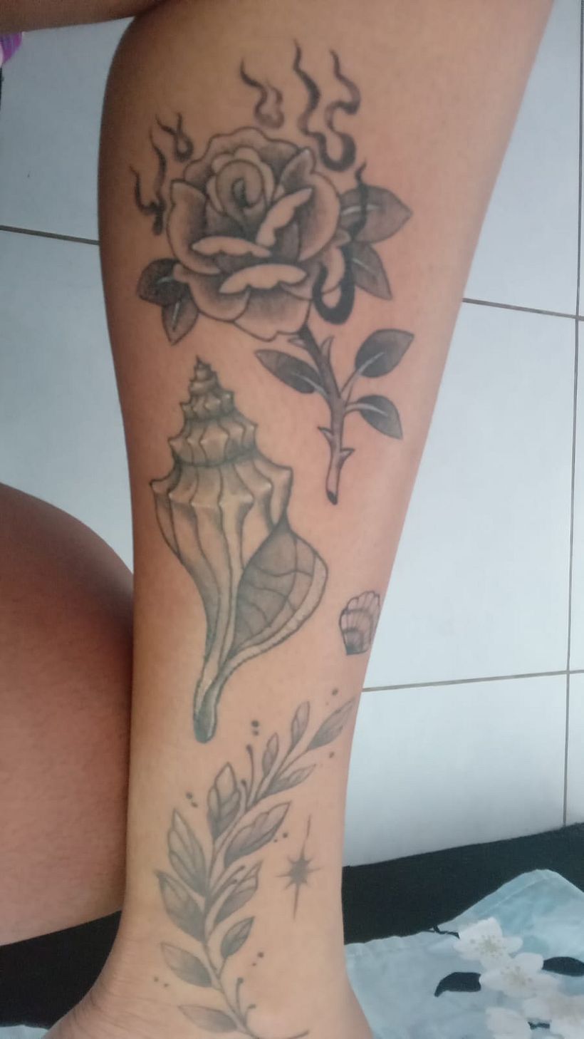 Rosa com fogo 3