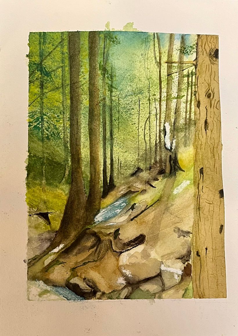 Light through the black forest 1