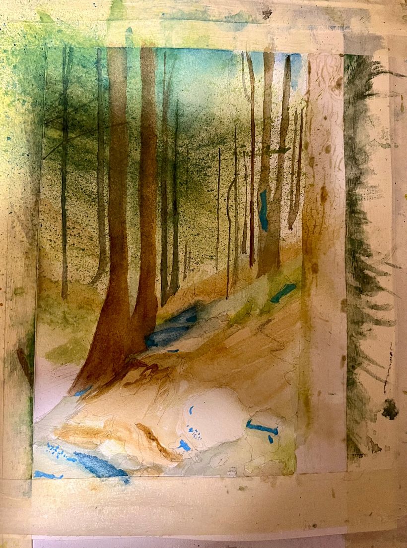 Light through the black forest 1