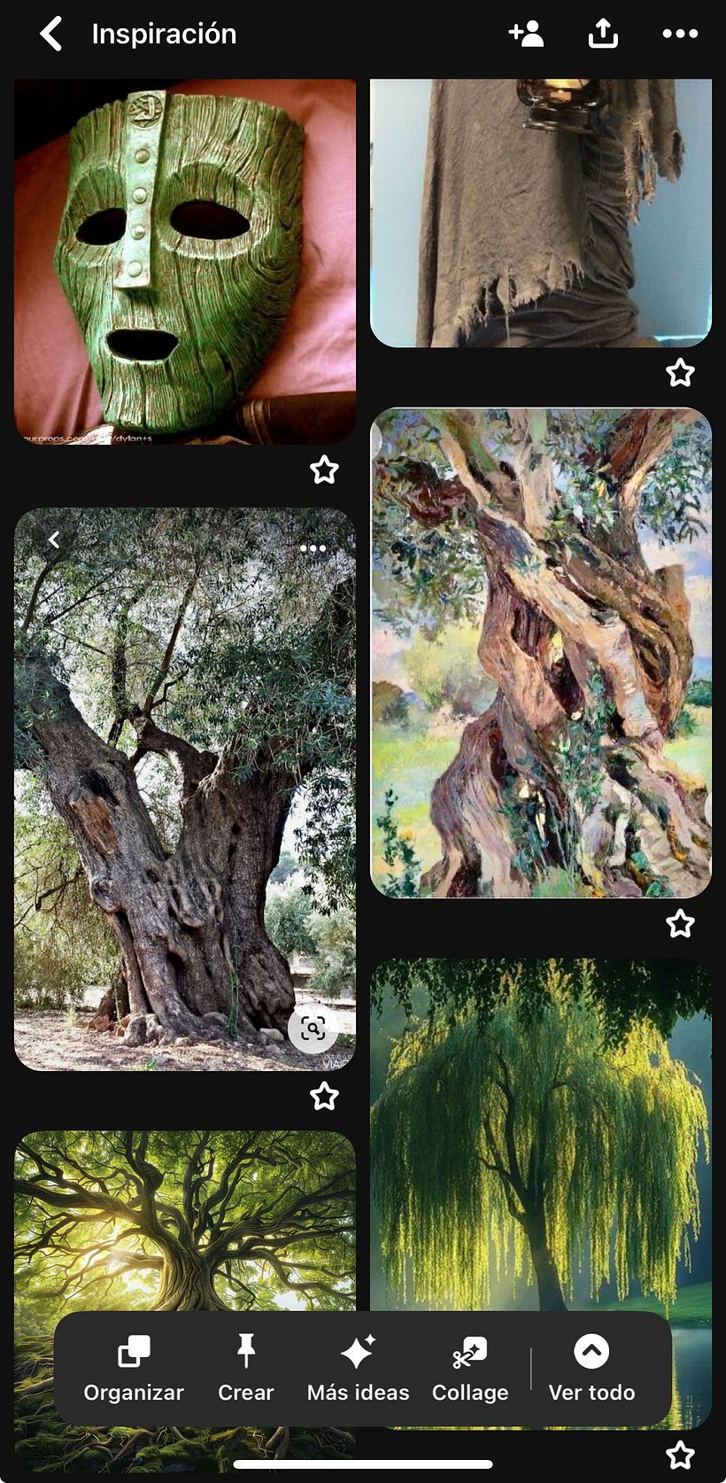 Espiritu del Bosque  1