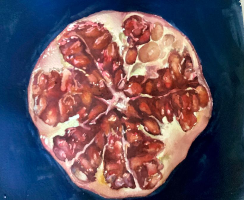 Watercolour study of pomegranate 1