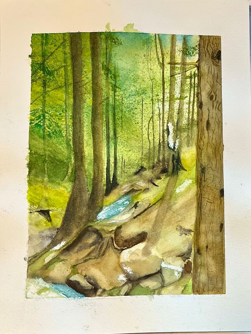 Light through the black forest 2