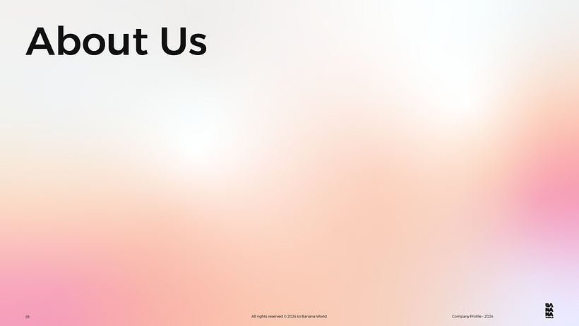 Company Profile  2