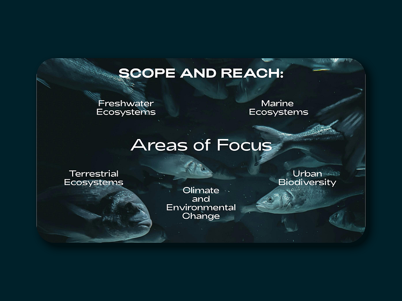 WildinSYNC – Biodiversity Monitoring Presentation Template 3