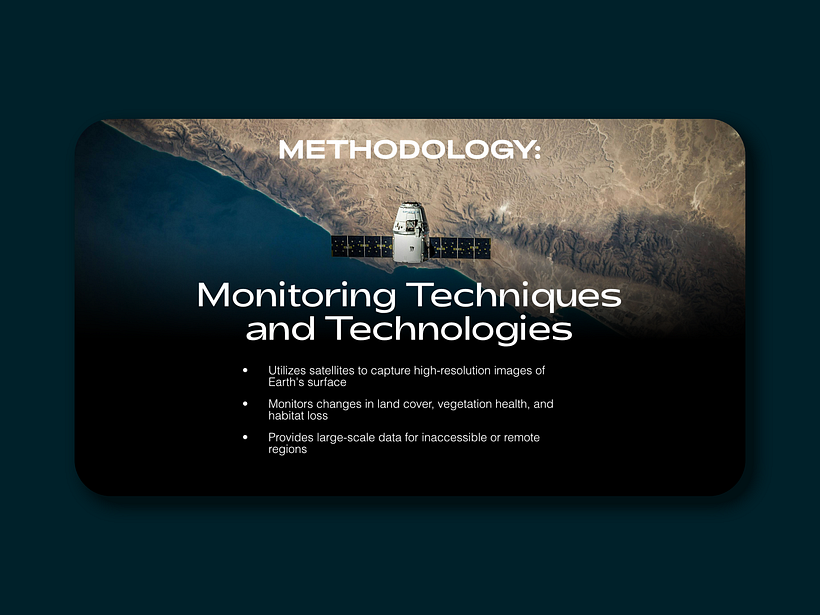 WildinSYNC – Biodiversity Monitoring Presentation Template 4