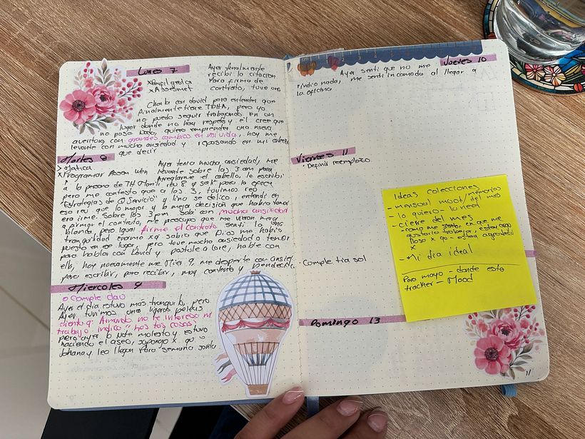 My bullet Journal 6