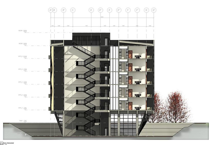 Edificio Paramétrico Revit 3