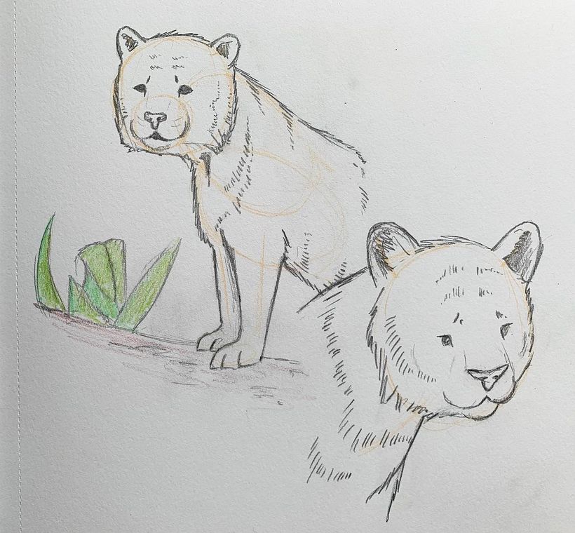 Creating a Tiger Character 2