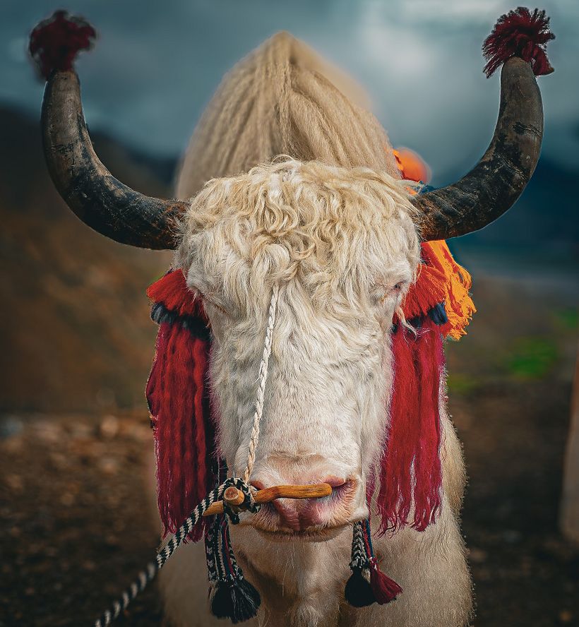 Travel Photography 7