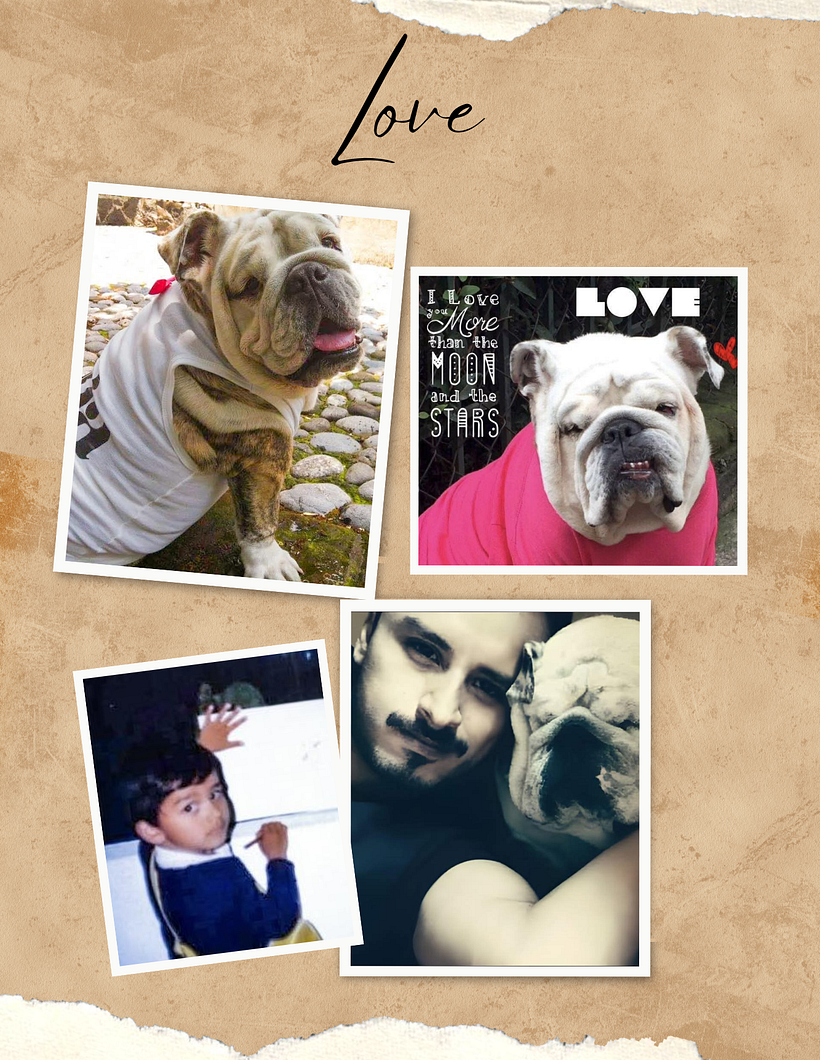 THE WORLD WE CREATE 1