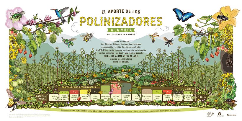 Polinizando 1