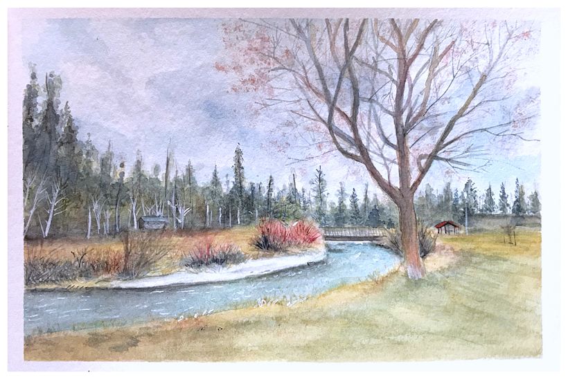 Watercolor Journal #2  1