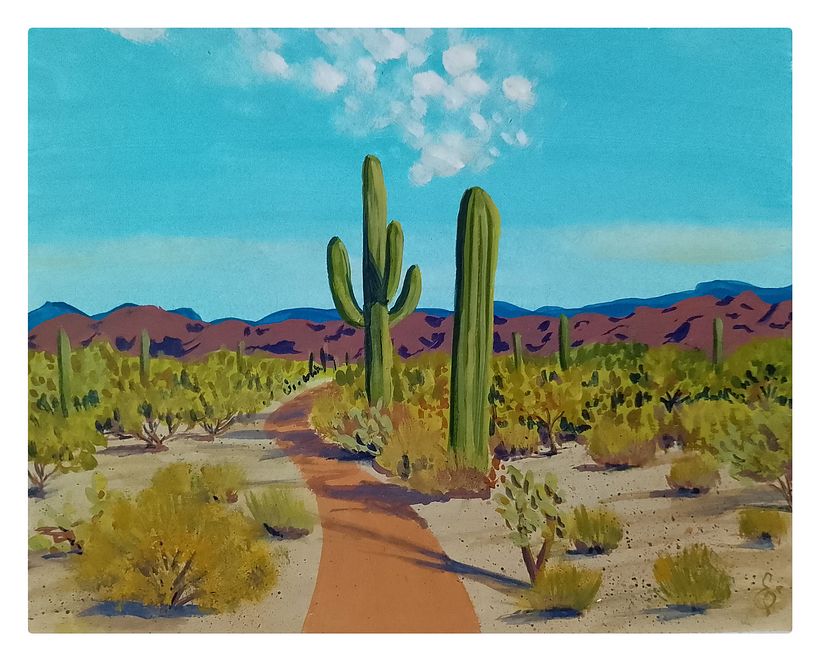 Desierto de Sonora  1