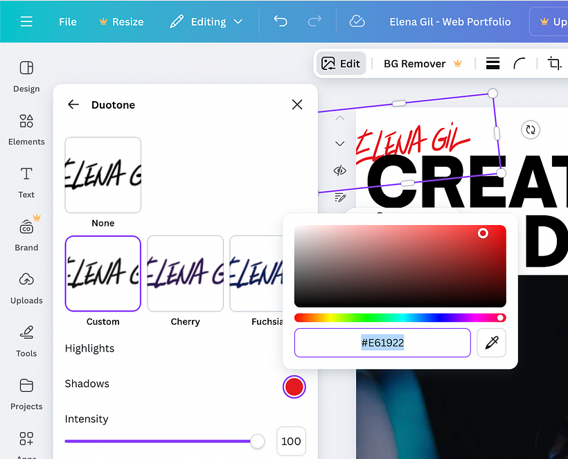 Web Portfolio Profesional con Canva 3