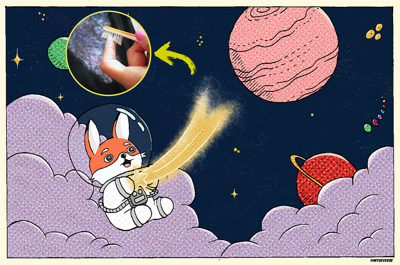 A Raposa e sua Estrela Cadente 🦊🌠 2