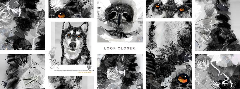 How to make a COLLATED IMAGE ARTWORK  by Danielle Scholtz 2