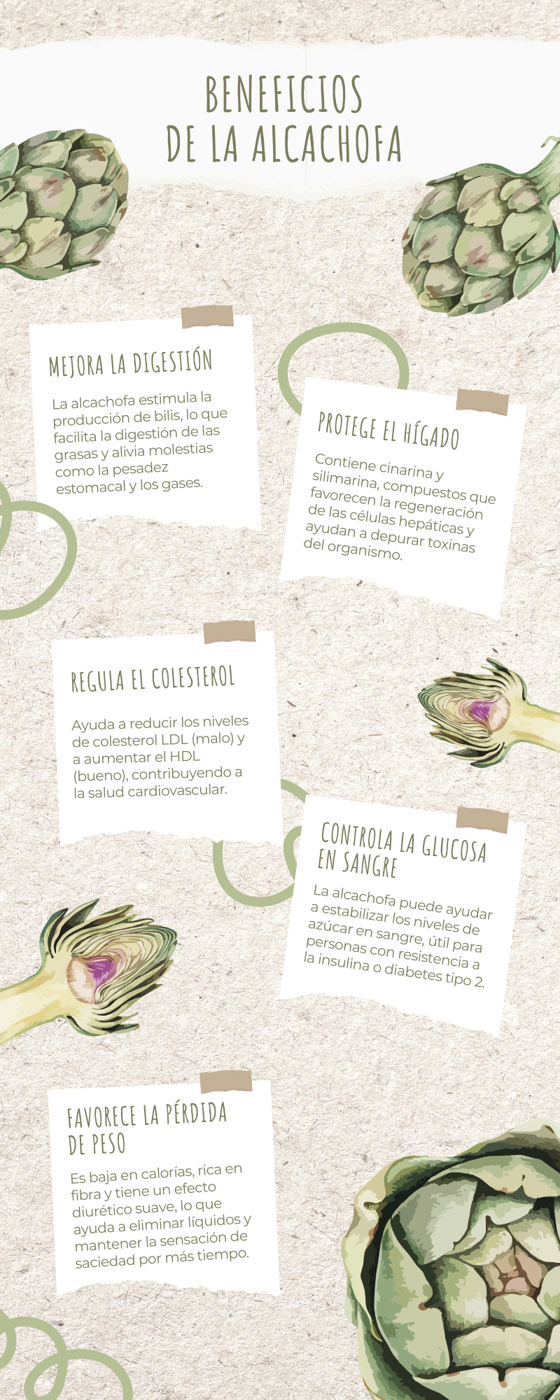 Modèles Canva pour des projets alimentaires durables 2