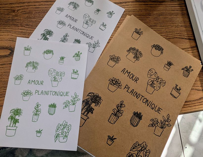 Amour pla(n)tonique 1