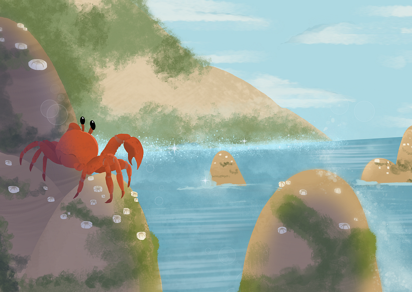 Projeto Marina Concept 5