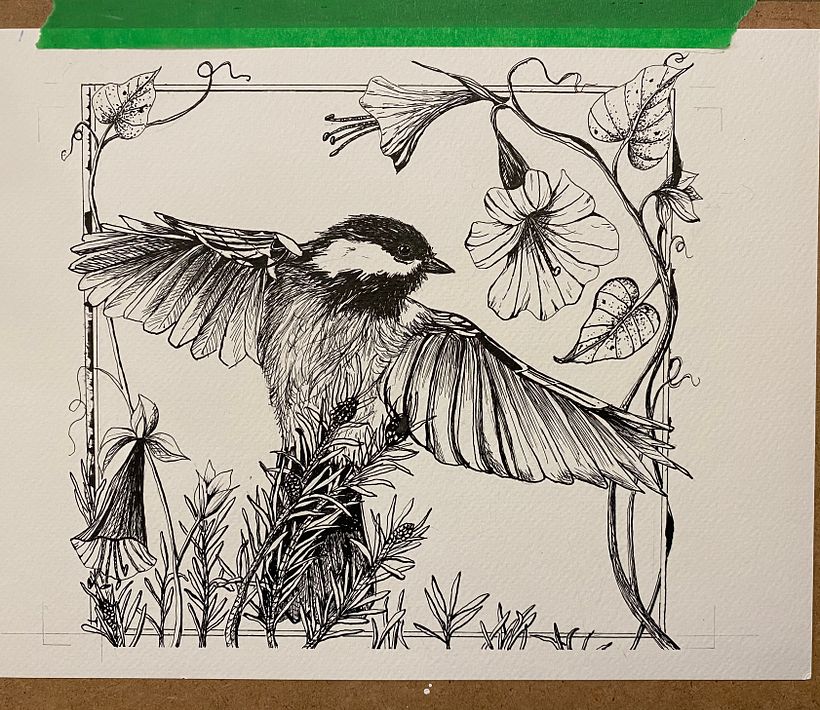 “Chickadee in Flight” 2