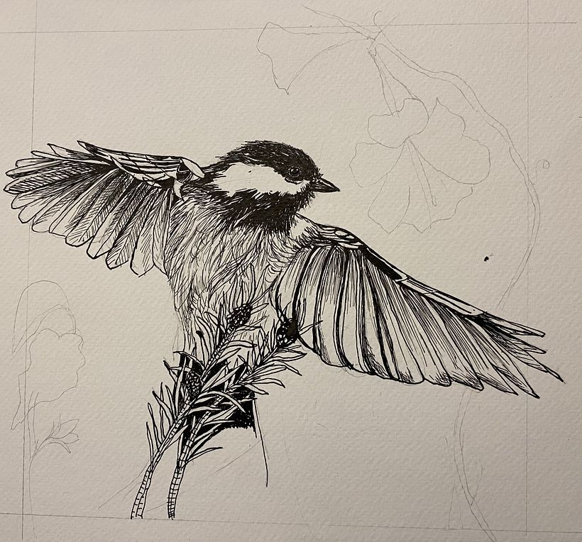 “Chickadee in Flight” 1