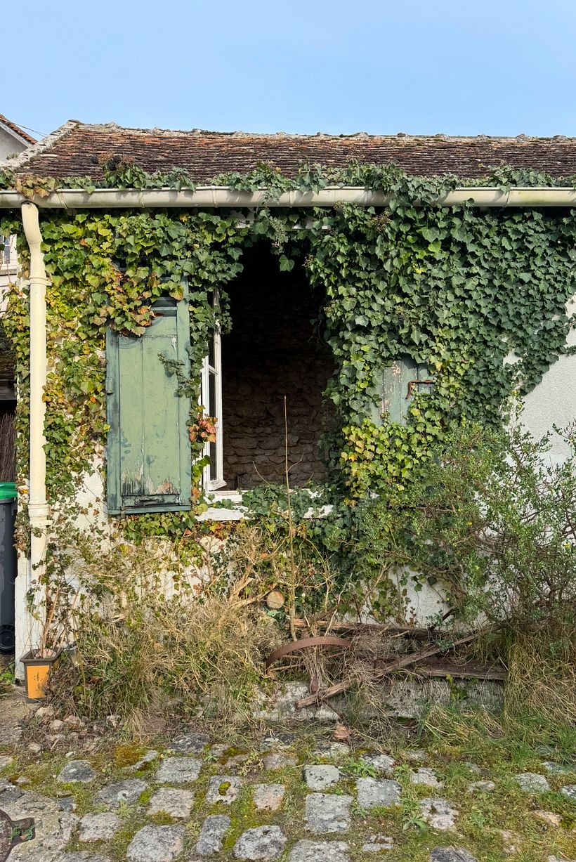 La ventana florida 1